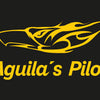 Aguilas Pilot logo